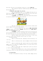 [지리학] 지구의 형성-8