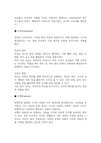 독학사 2단계 복식디자인 요점정리본 (최근 출제경향 반영)-13