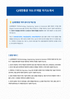 CJ대한통운 TES IT개발 자기소개서-1