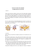 추간판 장애 (디스크) case study 케이스 스터디 간호진단6개 간호과정6개 A+-2