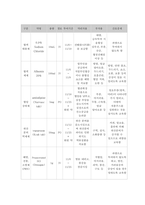 급성 신손상 Acute Kidney Injury(AKI) case study 케이스 스터디 간호진단6개 간호과정6개 A+-14