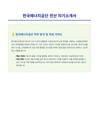 한국에너지공단 전산 자기소개서-1