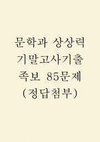 (문학과 상상력 기말 기출문제 족보) 문학과 상상력 기말고사 기출 족보 85문제와 정답 -1