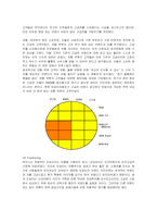 [마케팅] 렉서스의 국내진출 마케팅전략과 성공요인분석-16