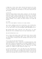 [마케팅] 렉서스의 미국진출 마케팅전략과 성공요인분석-12