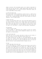 [마케팅] 다국적기업 맥도날드의 전략과 성공요인-7