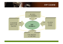 [경영정보] KT의 ERP 도입과 구축전략-10