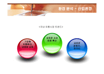 [경영전략] 이마트(E-MART)의 마케팅과 성공전략-11