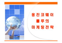 [마케팅] 웅진코웨이 룰루의 마케팅전략-1
