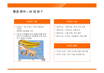[마케팅] 웅진코웨이 룰루의 마케팅전략-5