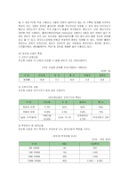 [경영전략] 삼성전자 반도체의 중국시장 진출전략-4