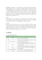[경영전략] 삼성전자 반도체의 중국시장 진출전략-9