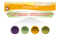 [국제경영] 한스킨 비비크림(HANSKIN B.B CREAM) 인도 진출-4