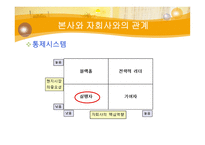 [국제경영] 한스킨 비비크림(HANSKIN B.B CREAM) 인도 진출-7