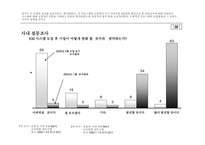 [경영정보시스템] 포스코 POSCO KM-12