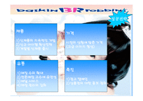 베스킨라빈스의 기업분석-16