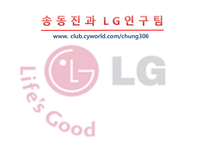 [경영학] LG그룹 분석-3