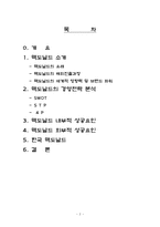 [국제경영론] 맥도날드 성공전략 분석-2