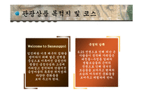 [관광상품론] 부산 관광상품 개발-15