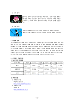 [지역사회복지론 프로그램개발] 경증치매 노인의 치료 레크레이션-12