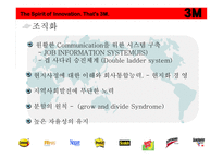 3M 다국적 기업 레포트-12