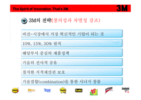 3M 다국적 기업 레포트-17