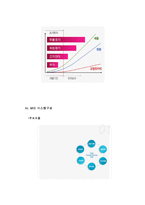 [경영정보시스템] 경영정보 시스템의 발전과정-10