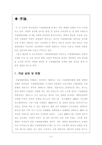 [정책분석론] 국립대 법인화를 둘러싼 논쟁과 그 해결방안에 관한 고찰-5