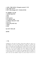 [SK텔레콤, 스카이, LG텔레콤, KTF] SK텔레콤의 기업개요, SK텔레콤의 태동, SK텔레콤의 지식경영, SKY(스카이)광고 전략과 LG텔레콤의 사업 전략 및 KTF의 마케팅 전략 분석-2