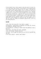 [교육행정정보시스템, NEIS] 교육행정정보시스템(NEIS)의 개념, 배경, 목표, 필요성과 교육행정정보시스템(NEIS)의 문제점, 찬반론 및 교육행정정보시스템(NEIS) 문제의 쟁점 분석-9