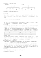 [국어학] 의미론-8