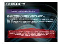 조직성장 -조직 수명 주기모형-7