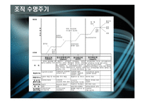 조직성장 -조직 수명 주기모형-8