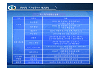 [생산관리] 생산전략사례 -사우스웨스트와 컨티넨탈 항공사의 경영전략비교-14