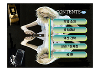 [mis 경영정보시스템] 모토로라 6시그마(식스시그마)-2