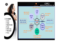 [mis 경영정보시스템] 모토로라 6시그마(식스시그마)-12