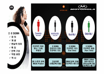 [mis 경영정보시스템] 모토로라 6시그마(식스시그마)-13