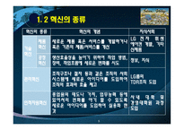 [경영조직론] 11장 혁신과 조직-5