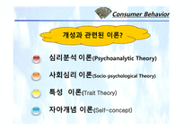 [소비자행동론] 11장. 개성과 라이프스타일-5