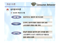 [소비자행동론] 11장. 개성과 라이프스타일-6