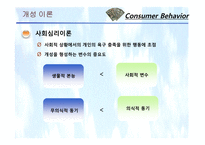 [소비자행동론] 11장. 개성과 라이프스타일-10