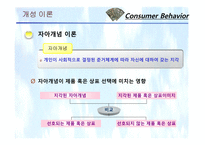 [소비자행동론] 11장. 개성과 라이프스타일-18