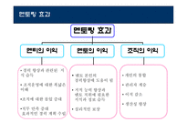 [인적자원관리] 멘토링에 대한 연구-5