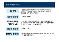 [인적자원관리] 멘토링에 대한 연구-12