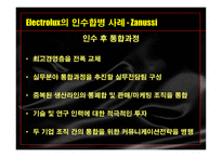 [국제경영] 국제인수합병-9