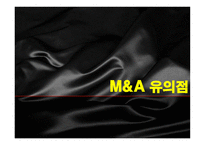 [국제경영] 국제인수합병-16