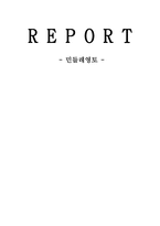 민들레영토 환경분석, 마케팅 전략-1