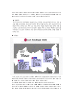[마케팅] LG화학 Z-IN(지인)의 마케팅 전략 -LG화학의 인지도를 이용한 마케팅전략-14