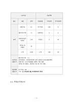 [사업계획서] 대학생 온라인 미팅사이트-12