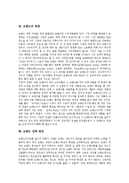 [브랜드] 브랜드의 구분, 기능, 역할, 중요성과 브랜드 관리, 브랜드 체계 및 브랜드 전략 방안 분석-9